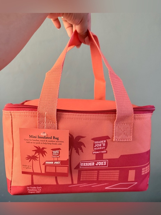 Trader Joe'S Accessories - Trader Joe’s Mini Insulated Bag